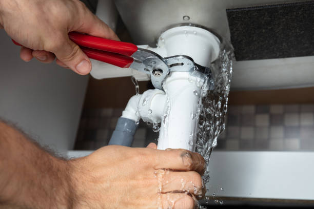 Best Flood damage cleanup  in Black Mountain, NC