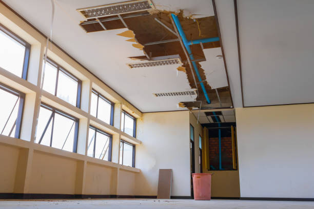 Carpet water damage restoration in Black Mountain, NC