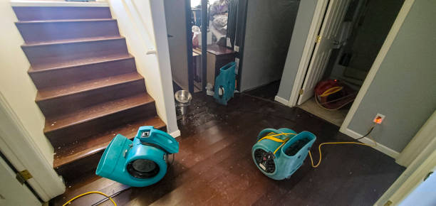  Black Mountain, NC Water damage restoration Pros