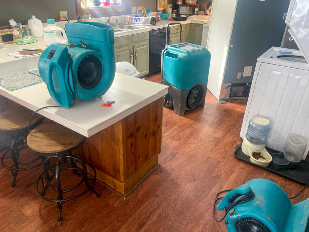 Best Carpet water damage restoration  in Black Mountain, NC
