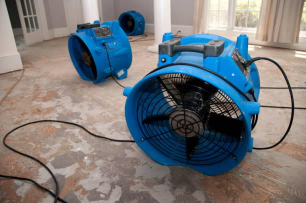 Best Water damage restoration near me  in Black Mountain, NC