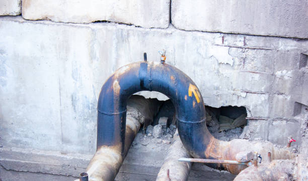 Best Local water damage restoration  in Black Mountain, NC